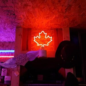 Some new Neon in the garage.