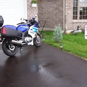 10392126 372896865001 1409003 n