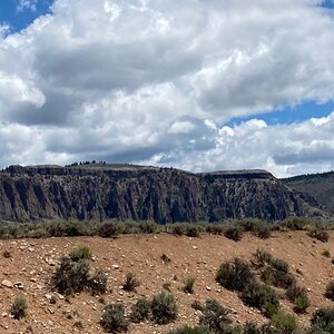 7F345252 EF71 4E37 9F14 49A8A02BBCC4