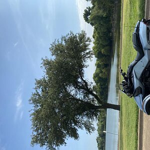 5174EEF2 5554 40FD 904B 88CA2F756EEF