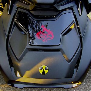 Hood mods include the gloss black bezel with custom Ace decal. Hard to tell, but I also added the lower grill bumper and wire mesh insert to protect t