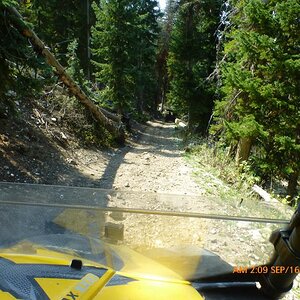 P1100188
beautiful narrow hill climbs.Loved the fresh pine smell