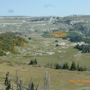 P1100165
another view from a different place along the drive