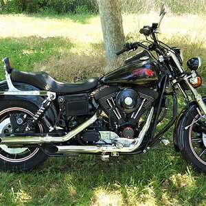 Sturgis after refresh (2)