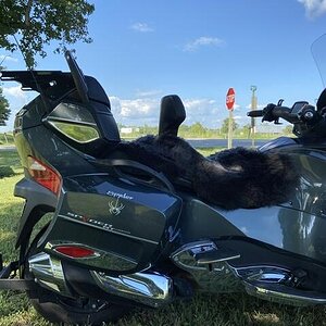 395EC327 27CA 412E 8AAE C3D6440C7000