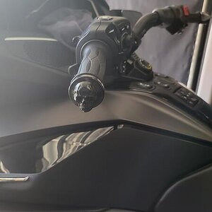 Skull Handlebar caps
