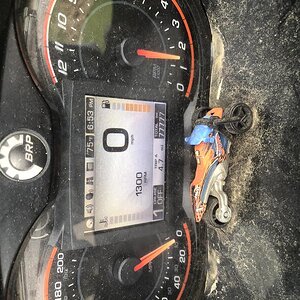 56A9A6C8 EC19 41A5 B132 8C69239BFA12.   Palindrome 77777