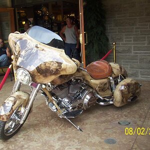 Scenes from Deadwood; players.