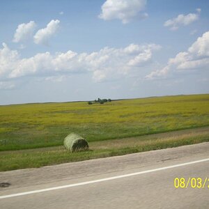 Other side of the road. Varies quite a bit.