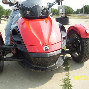 Grasshopper guts all over everything.