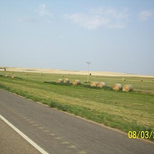 Big farming area. Saw sign about commercial beef & sheep farming.