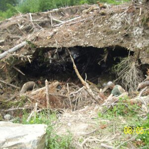 Erosion under the ice flow so it collapsed, guy going under