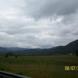 Coming down from Mt Rainier area.