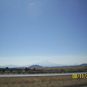 Shasta.