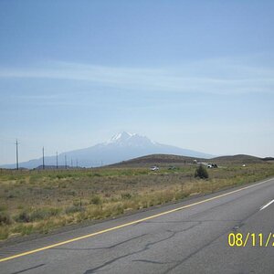 Mt Shasta