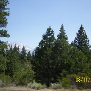 Mt Shasta just kept peeking through the trees as we curved on down the interstate.