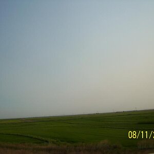 Rice fields approaching Sacramento, CA