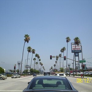 Pasedena, CA palms. Nasty and smoggy place; the whole area until past Escondido, CA. Sorry not meaning to step on toes.