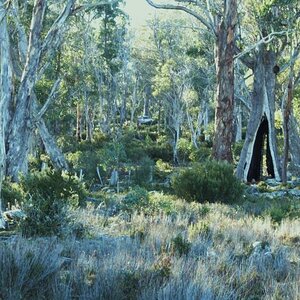 Lake Olive, Central Highlands, Tasmania
My Landcruiser is in there somewhere. Look hard and you can see it.