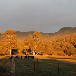 Snug Tiers from my backyard in Margate, Tasmania.