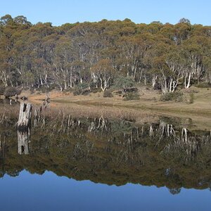 Pine Tier Lagoon reflections, Cental Highlands, Tasmania