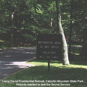 camp david3(2)