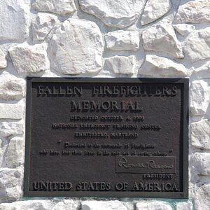 plaque
