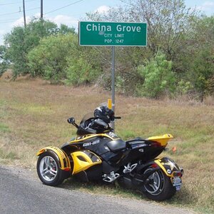 Army Spider at China Grove [Spyders in Strange Places]