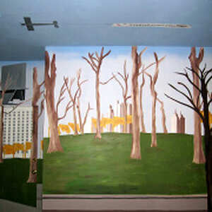 central park w plane