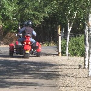 Spydee #1 in the woods