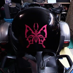 Butterfly Decal.  My wife loves everything butterfly!