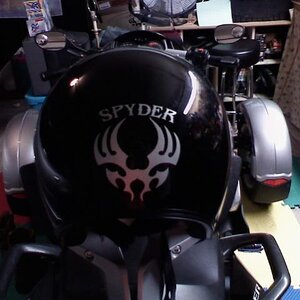 Spyder Decal 2  Ran into a guy at Canton 1st Monday making decals.  Couldn't Resist?