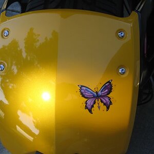 Back Butterfly1