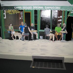 These we're our gueats at a back yard wedding reception.  They loved it.