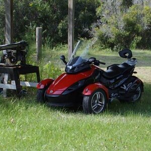 IKTOME waiting for new home.