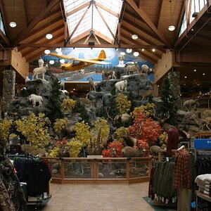 cabelas indoor