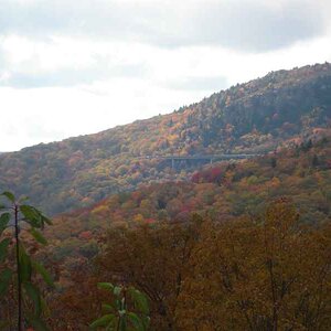 parkway ride across viaduct 2009 003