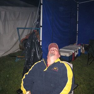 Phillip Island - catching insects