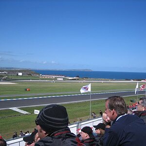 Phillip Island