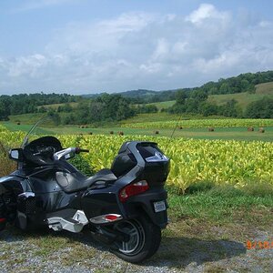 4125091667 918b2e6792 b