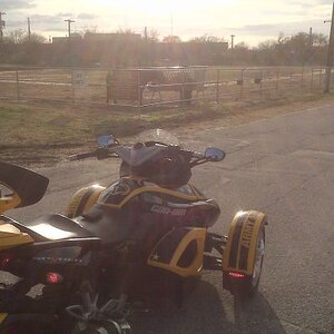 009 Live Animal (Caisson Horses)