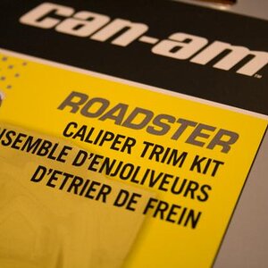 2010RSspyder CaliperTrimKit 2 - Trim Kit decal package