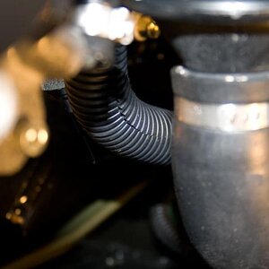 2010 RS SpyderNewEvapCan 3 - Vent hose is inside the loom wire, covered from the factory, on my 2010 RS.