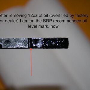 Spyder Dealertoomuchiol 5- After removing 12oz of oil (overfilled by factory or dealer) I am on the BRP recommended oil level mark, now