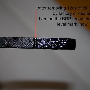 Spyder Dealertoomuchiol 4- After removing 12oz of oil (overfilled by factory or dealer) I am on the BRP recommended oil level mark, now