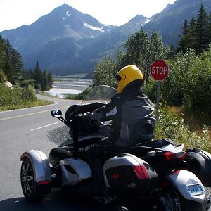 Near Exit Glacier--Seward AK