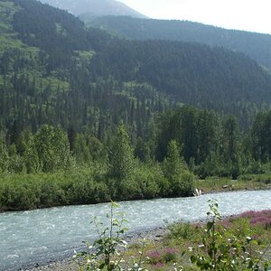 Road to Hatcher Pass, Ak