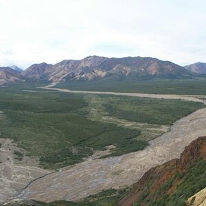 Denali National Park