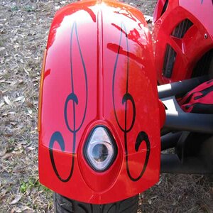 Details of wife's front fender graphics