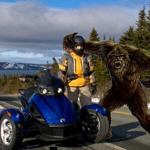 groundeffect makes a new friend